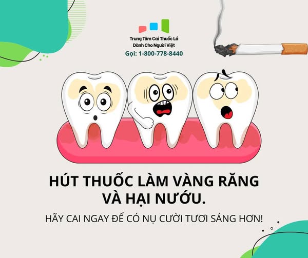 Đón Mừng Năm Ất Tỵ với ASQ Trung Tâm Cai Thuốc Lá Dành Cho Người Việt: Chương Trình Thẻ Quà Tặng $20 Vẫn Tiếp Tục!