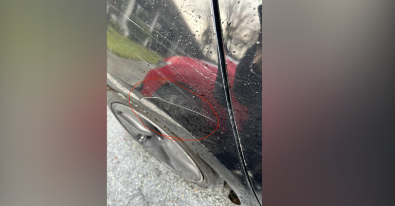 Nghị viên thành phố Fremont đã bị phá hoại xe do đi Tesla