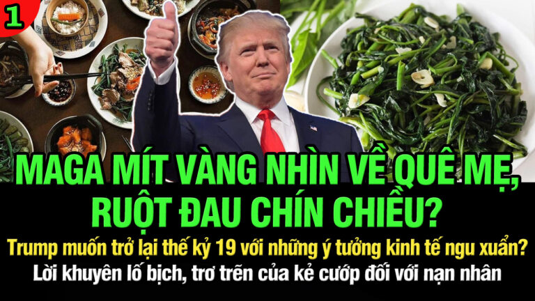 VL1-04.04: MAGA Mít vàng nhìn về quê mẹ, ruột đau chín chiều?