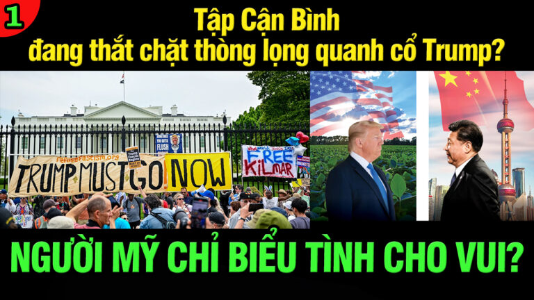 VL1-20.04: Người Mỹ chỉ biểu tình cho vui?