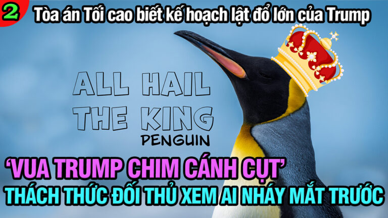 VL2-21.04: Vua Trump chim cánh cụt đã chớp mắt trước các đối thủ?