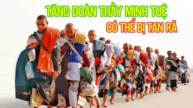 Tăng đoàn thầy MINH TUỆ có thể bị tan rã!