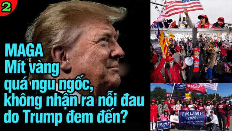 VL2-16.05: MAGA Mít vàng quá ngu ngốc, không nhận ra nỗi đau do Trump đem đến?