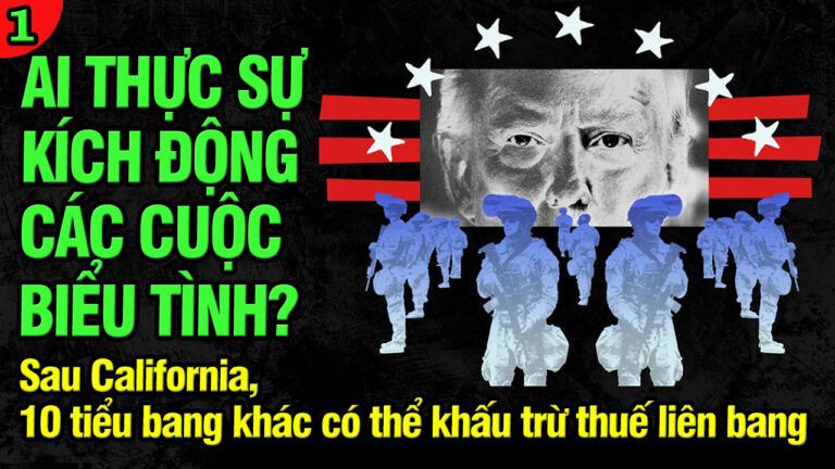 VL1-12.06: Ai thực sự kích động các cuộc biểu tình?