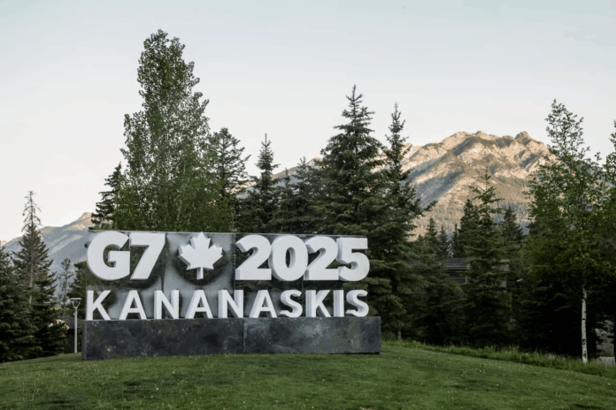 image_2025-06-16_103441614