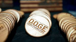 Trợ lý DOGE có biệt danh ‘Big Balls’ từ chức sau khi Elon Musk rời Tòa Bạch Ốc