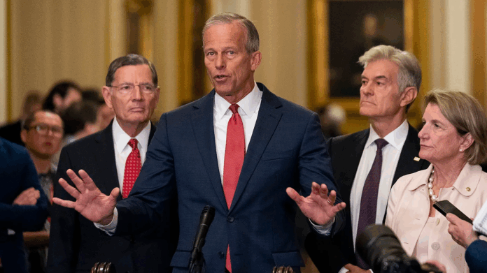 image_2025-07-01_085936865