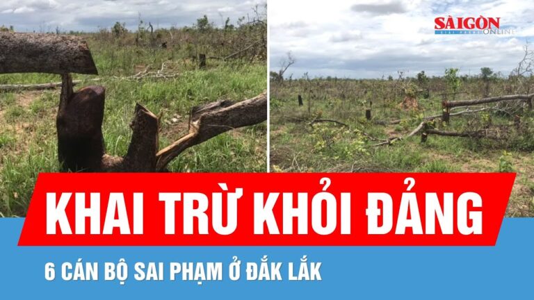 Toàn cảnh thời sự Việt Nam, thứ Sáu ngày 5 tháng 9 năm 2025 