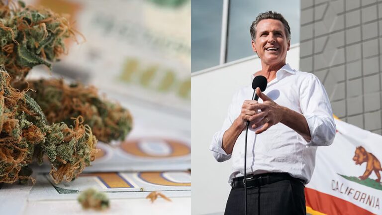 Newsom giảm thuế cần sa California để cạnh tranh với chợ đen