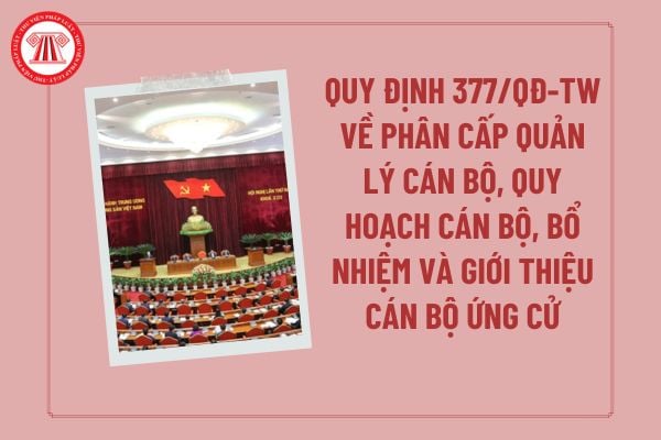 Toàn cảnh thời sự Việt Nam, thứ Hai ngày 20 tháng 10 năm 2025 