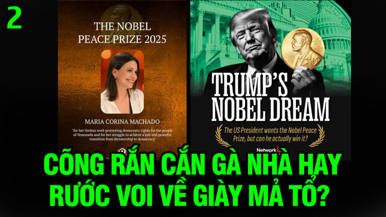 VL2-15.10: ‘Cõng rắn cắn gà nhà’ hay ‘Rước voi về giày mả tổ’?