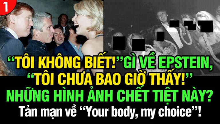 VL1-14.12: “Tôi không biết!” gì về Epstein – “Tôi chưa bao giờ thấy!” những hình ảnh chết tiệt này