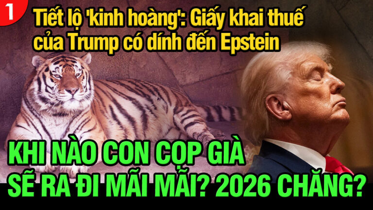 VL1-31.12: Tiết lộ ‘kinh hoàng’: Giấy khai thuế của Trump có dính đến Epstein?