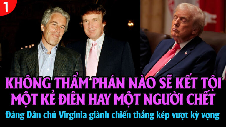 VL1-08.01: Không thẩm phán nào sẽ kết tội một kẻ điên hay một người chết