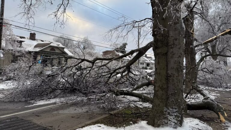 Bang Mississippi điều động 135 xe dọn tuyết để dọn các đường cao tốc bị tắc nghẽn