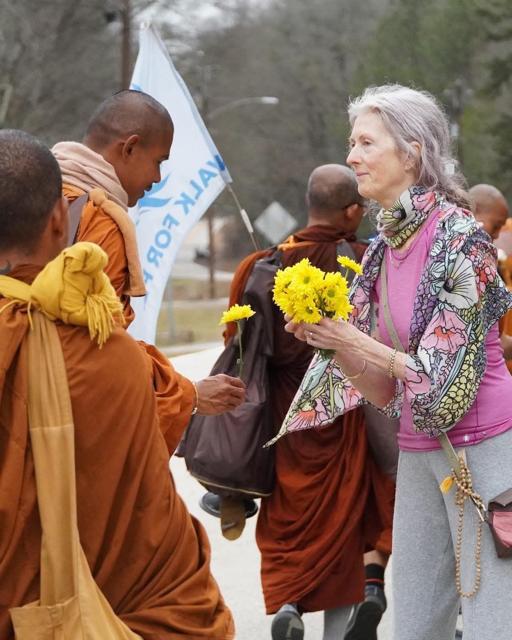 Walk for Peace – Những Bước Chân Tỉnh Thức Trên Con Đường Hòa Bình